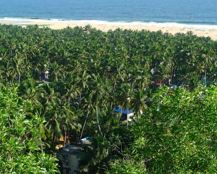 Photo of Others in Poovar