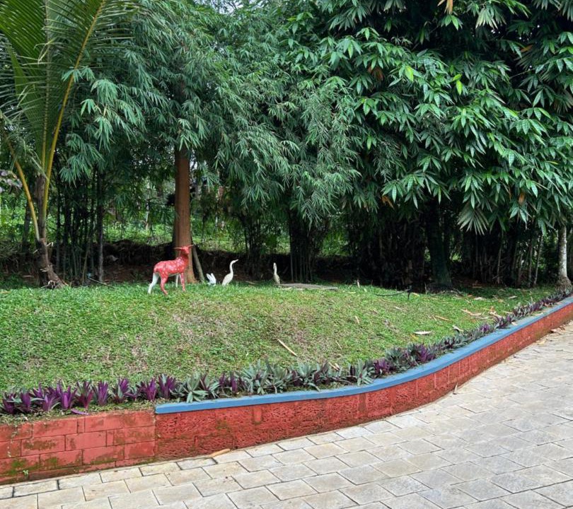Photo of Others in Kenichira