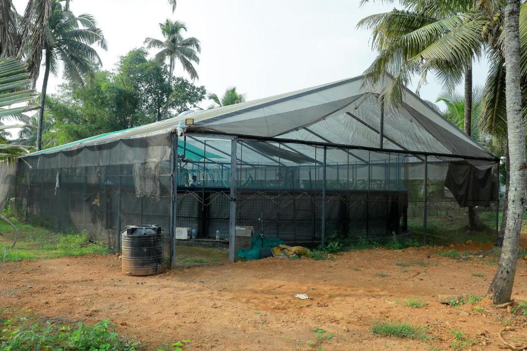 Photo of Others in Kuttanad Taluk