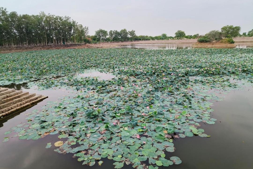 Photo of Others in Khajuraho