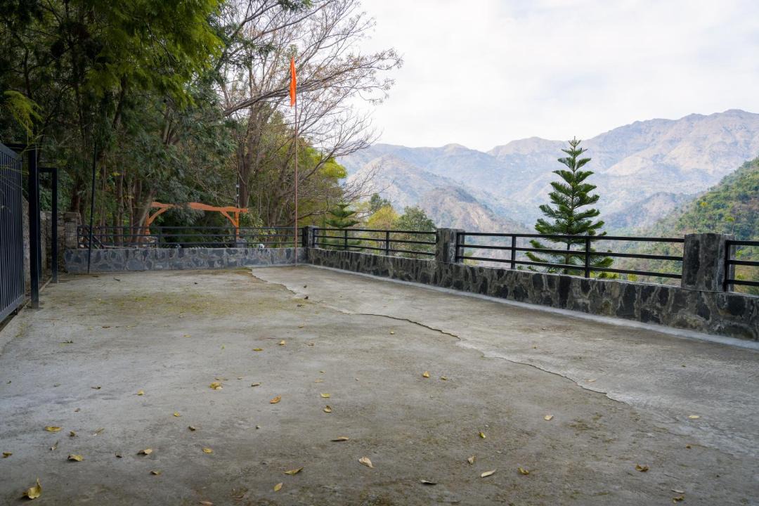 Photo of Others in Bhediyana