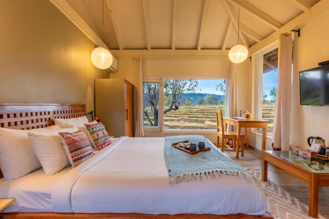 Photo of Others in Palampur