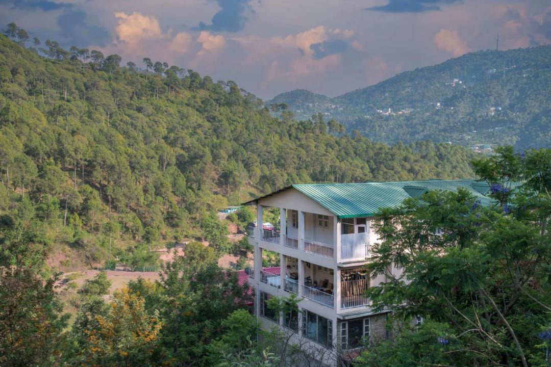 Photo of Others in Kasauli