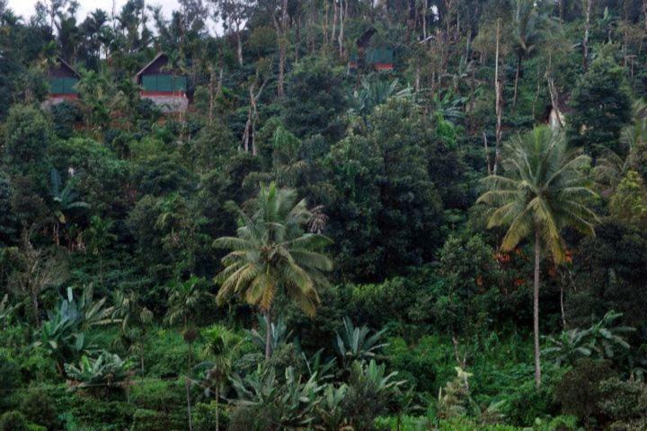 Photo of Others in Pinangode