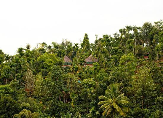 Photo of Others in Pinangode