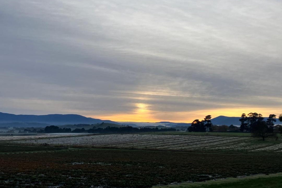 Photo of Others in Coldstream
