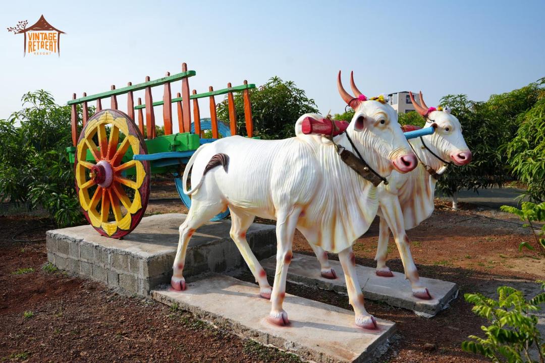 Photo of Others in Bidar