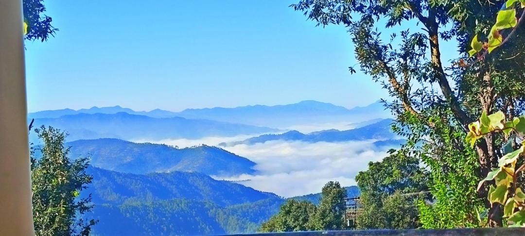 Photo of Others in Almora