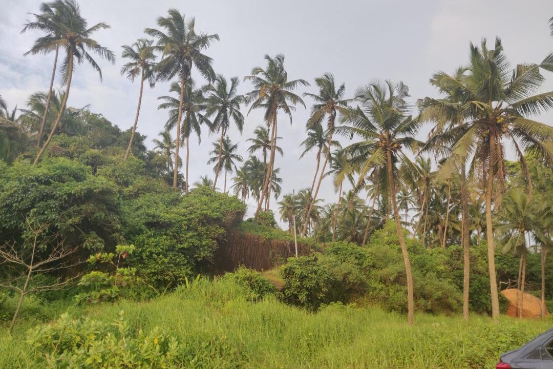 Photo of Others in Kannur