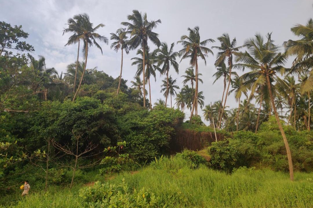 Photo of Others in Kannur