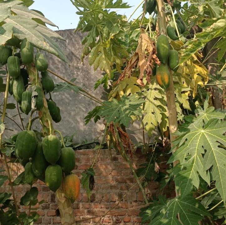 Photo of Outdoor in Khajuraho