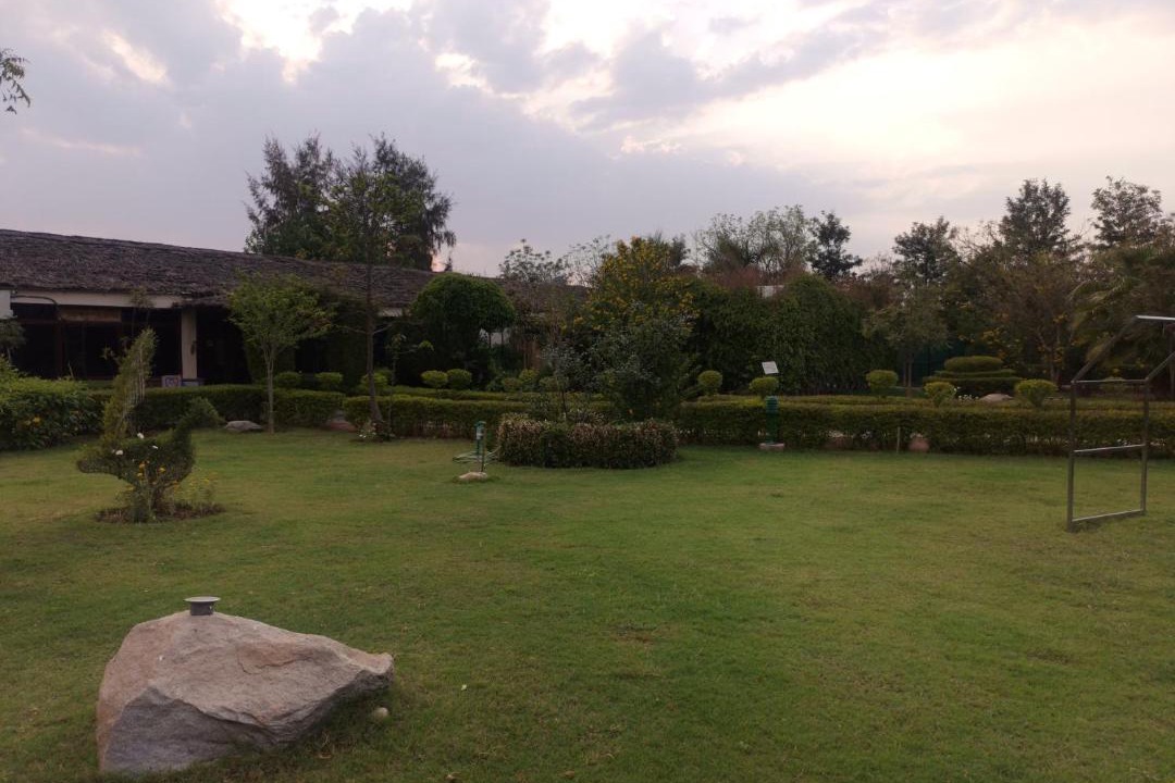 Photo of Others in Sariska