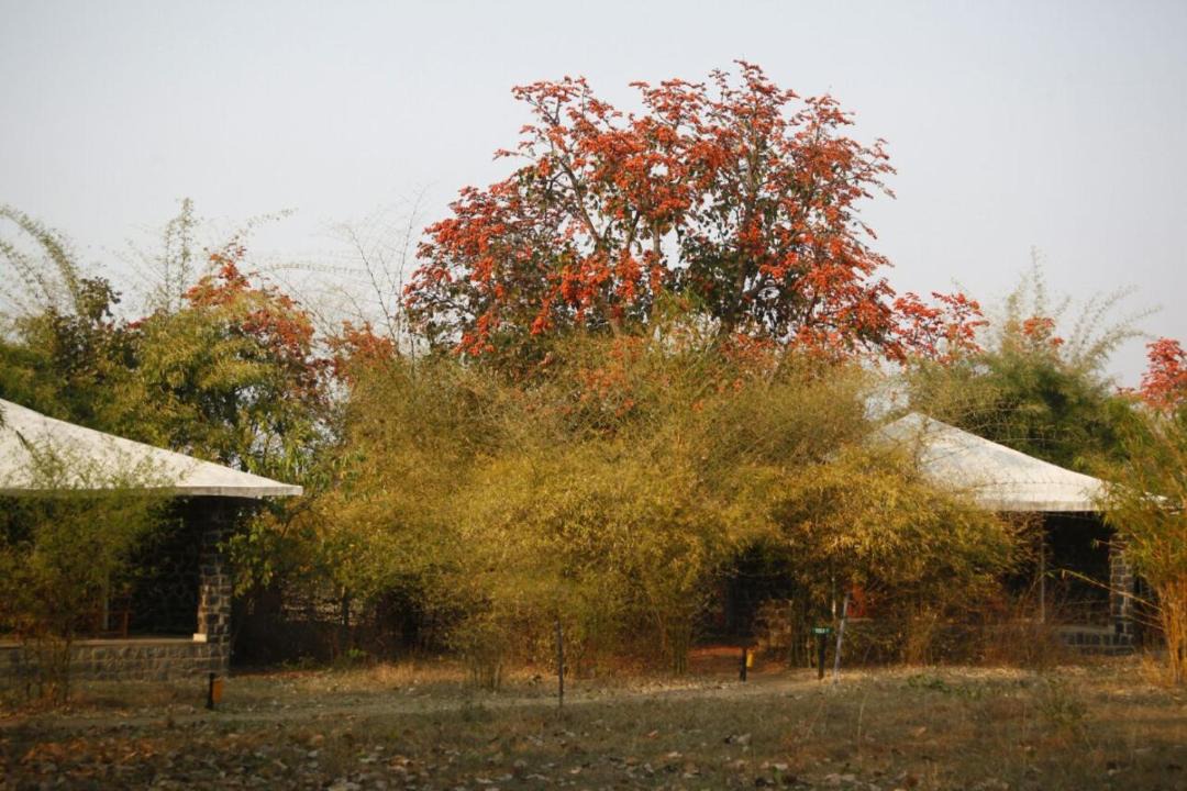 Photo of Others in Umaria