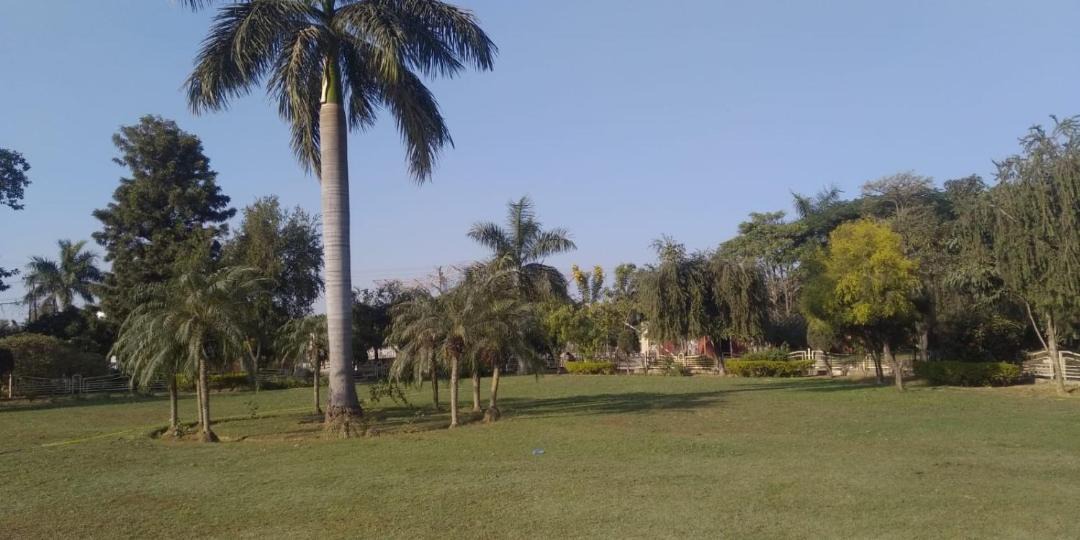 Photo of Outdoor in Mohangarh