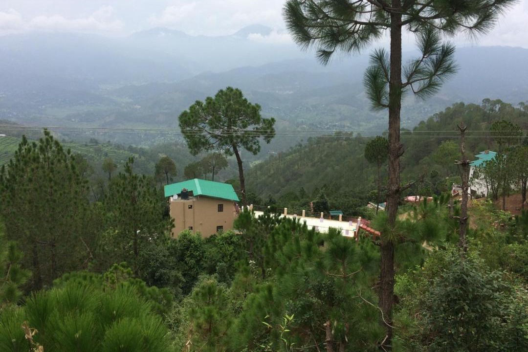 Photo of Others in Majkhali