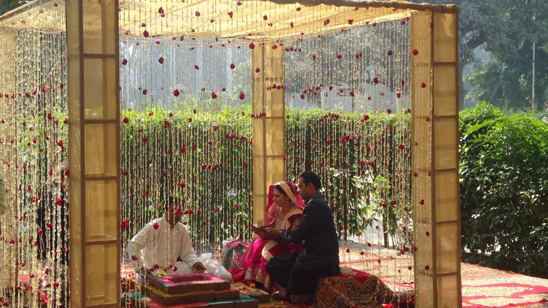 Photo of Others in Patiala