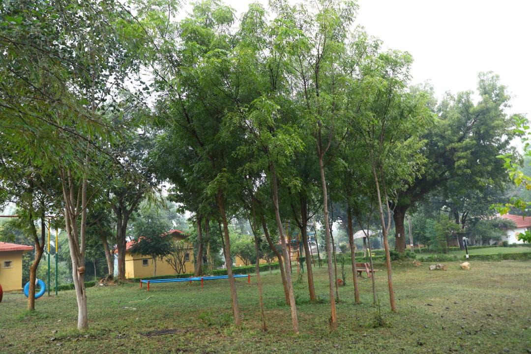 Photo of Others in Khajuraho