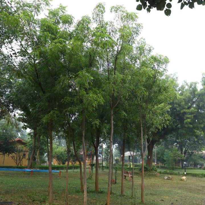 Photo of Others in Khajuraho