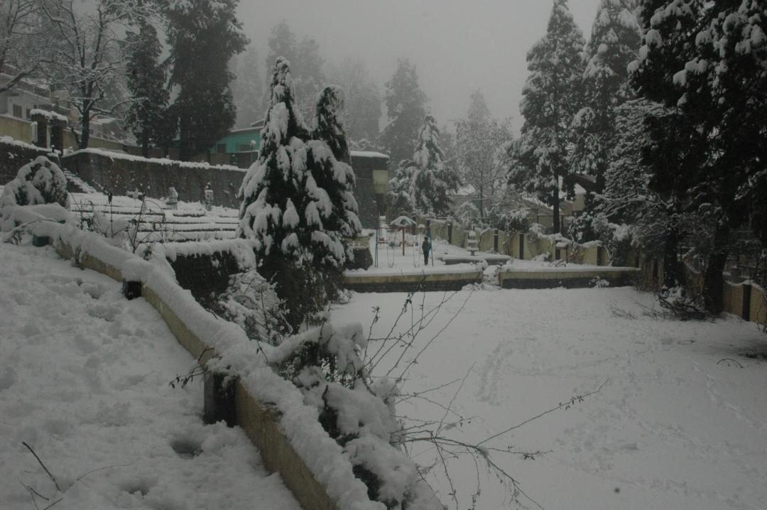 Photo of Others in Nainital