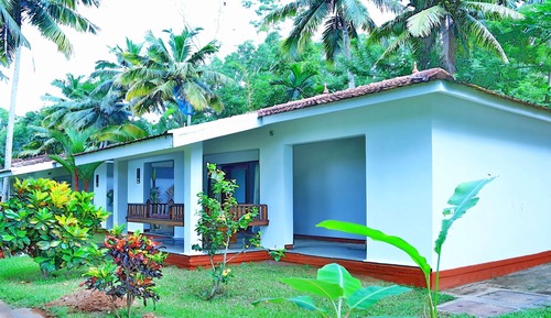 Premium Cottage, 1 King Bed