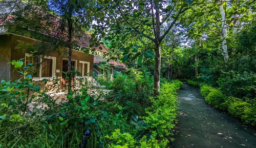 Tribal Cottages
