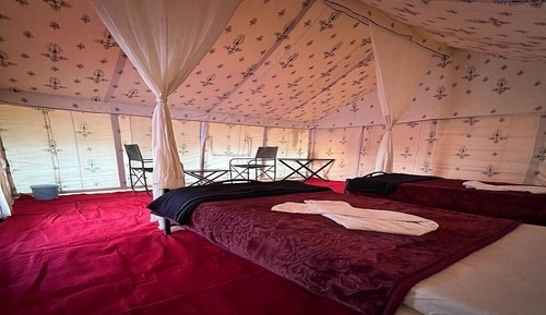 Premium Tent