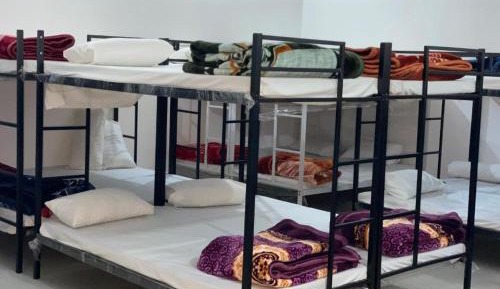 Bunk Bed in Mixed Dormitory Room