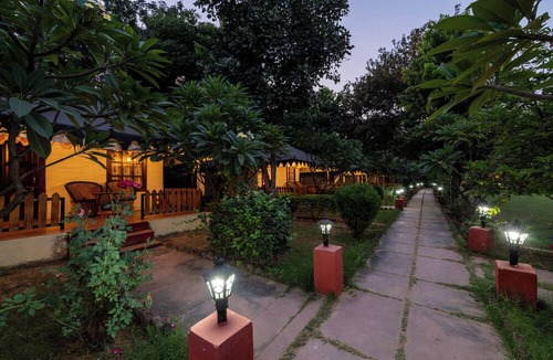 Sawai Madhopur Hotel | Jungle Cave Resort