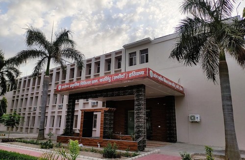 Safidon Hotel | Aarogya Naturopathy Village