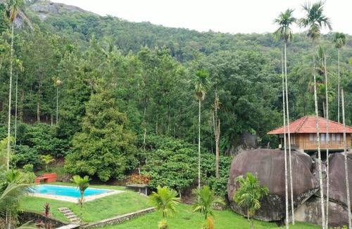 Kalpetta Resort | Avadale Wayanad - Stag Group Not Allowed