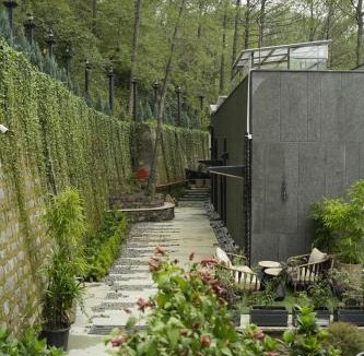 Kasauli Resort | Van Rasa