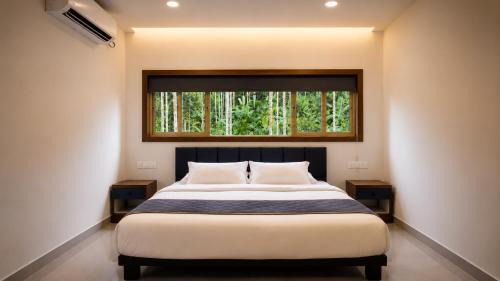 Sulthan Bathery House | Paddy Trails Nature Retreat Wayanad - Paddy Fields & Sunflower Gardens