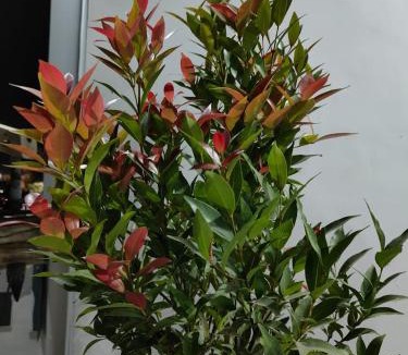 Shahganj Bed & Breakfast | Parnkuti Homestay