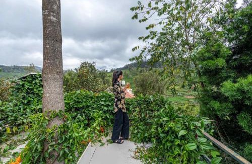 Kotagiri Villa | Silver Ridge By Nature Resorts & Stays