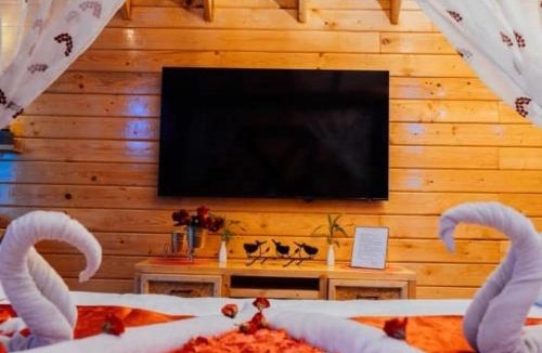 Kukatpally Housing Board Colony Apartment | Wooden Cottage with Jacuzzi & Balcony