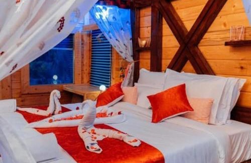 Kukatpally Housing Board Colony Apartment | Wooden Cottage with Jacuzzi & Balcony