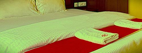 Kasauli Hotel | Hotel Ghumog Stay In Kasauli
