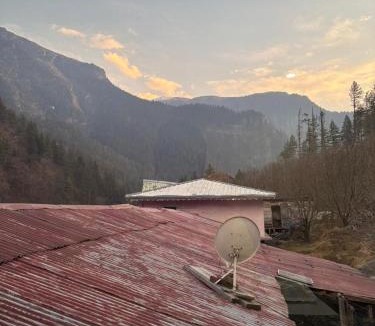 Harsil House | Harshil Pinewood Homestay