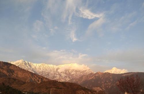 Dharamshala House | peak&valley homestay