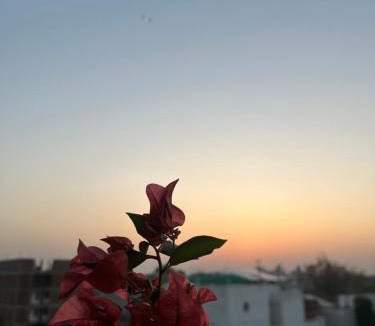 Auli Bed & Breakfast | Veera Stays Premium