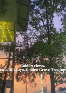 Udumbanchola Other | Golden Grove Treetops