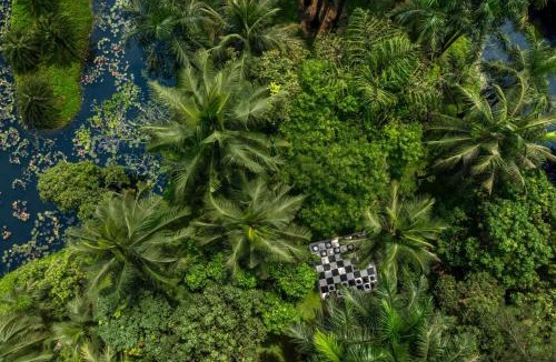 Cavelossim Resort | The St. Regis Goa Resort
