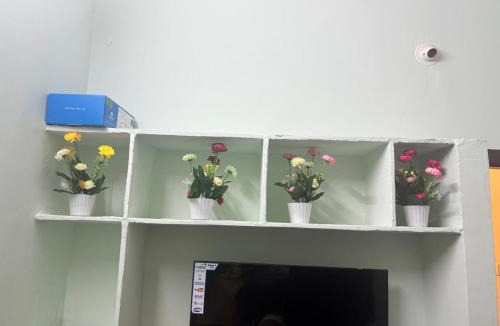 Hyderabad Apartment | Lara Homestay 1bhk Begumpet