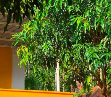 Mekkarai House | Little Forest, Serene Village Homestay, Mekkarai
