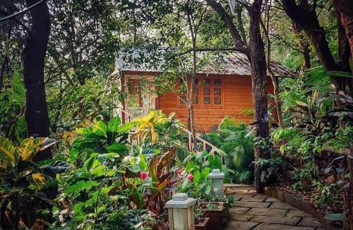 Vayittiri Resort | Silver Green Resort