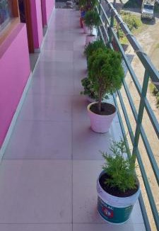 Chaukori House | Chaukori Good Morning View Homestay