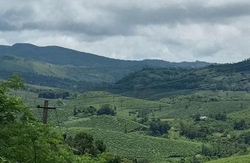 Vagamon Villa | Holidays Homestay Vagamon