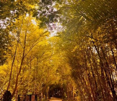Akbarpur Resort | Kalawati Greens