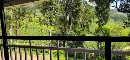 Suryanelli Resort | Jungle stay tent and cottage
