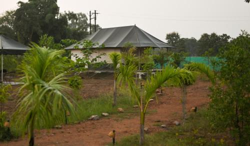 Panna Resort | Bundeli Camps and Resorts, Panna